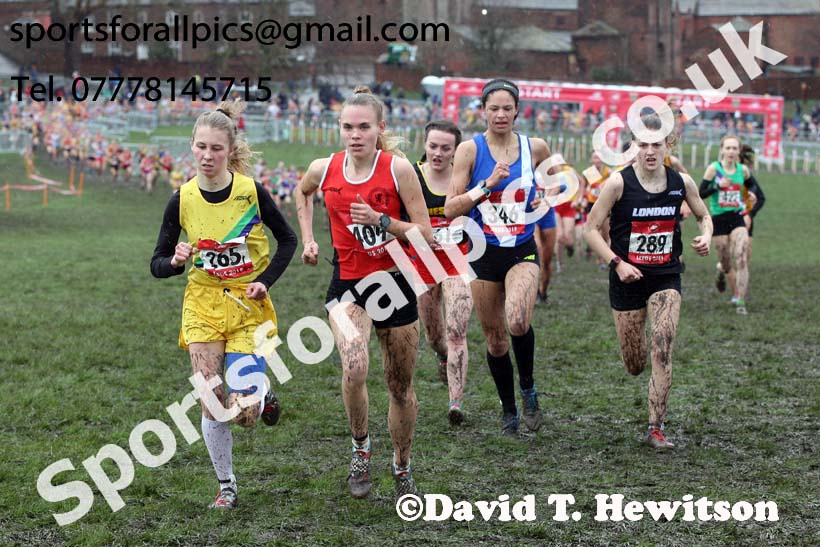 Senior girls 2019 New Balance English Schools Cross Country Champs, Temple Newsam, Leeds. Photo:  David T. Hewitson/Sports for All Pics